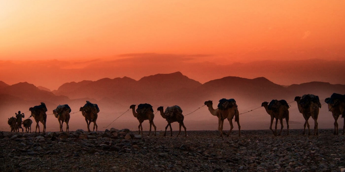 A caravan of camels in the desert. The sun sets and paints the sky orange. Mountains are visible in the background.